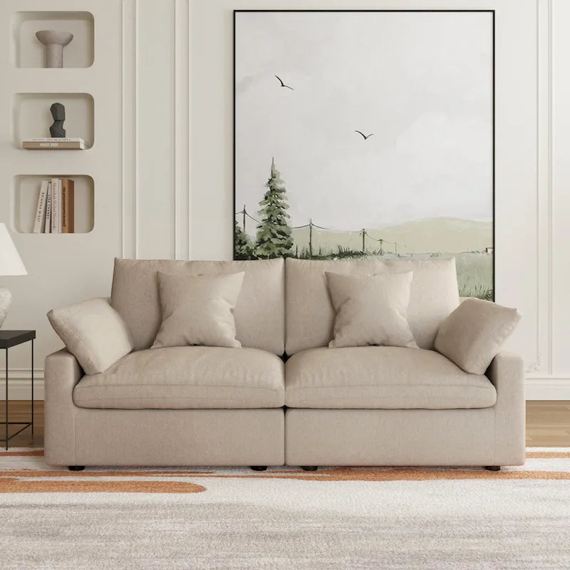Modular Cloud Sectional Couches, Down Filled Comfort Minimalist Deep Sofa Couches for Office Apartment