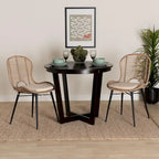 Brenna Modern Bohemian Rattan and Metal 2-Piece Dining Chair Set
