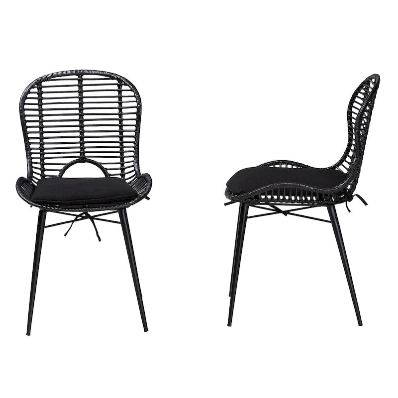 Brenna Modern Bohemian Rattan and Metal 2-Piece Dining Chair Set