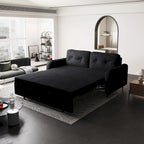 66.2   Queen Pull Out Sofa Bed with Storage and 2 Soft Pillows
